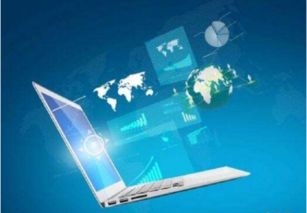 IT中的軟件技術(shù)服務(wù) 職業(yè)概述與職責(zé)